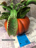 Venus Flytrap Pumpkin Halloween Decor