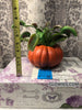 Venus Flytrap Pumpkin Halloween Decor