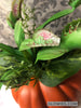 Venus Flytrap Pumpkin Halloween Decor