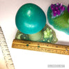 Glowing Mushroom Sculptures Decor Batch #1
