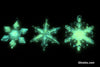 Glow in the dark Snowflake Ornaments